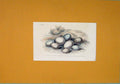 Original Old Antique Print Hand Colored C1854 Wild Birds Eggs Finch Victorian