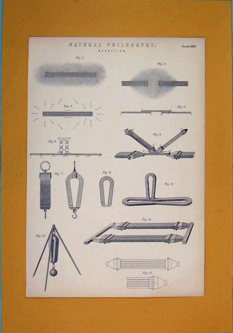 Original Old Antique Print Natural Philosophy Magnetism Science Art