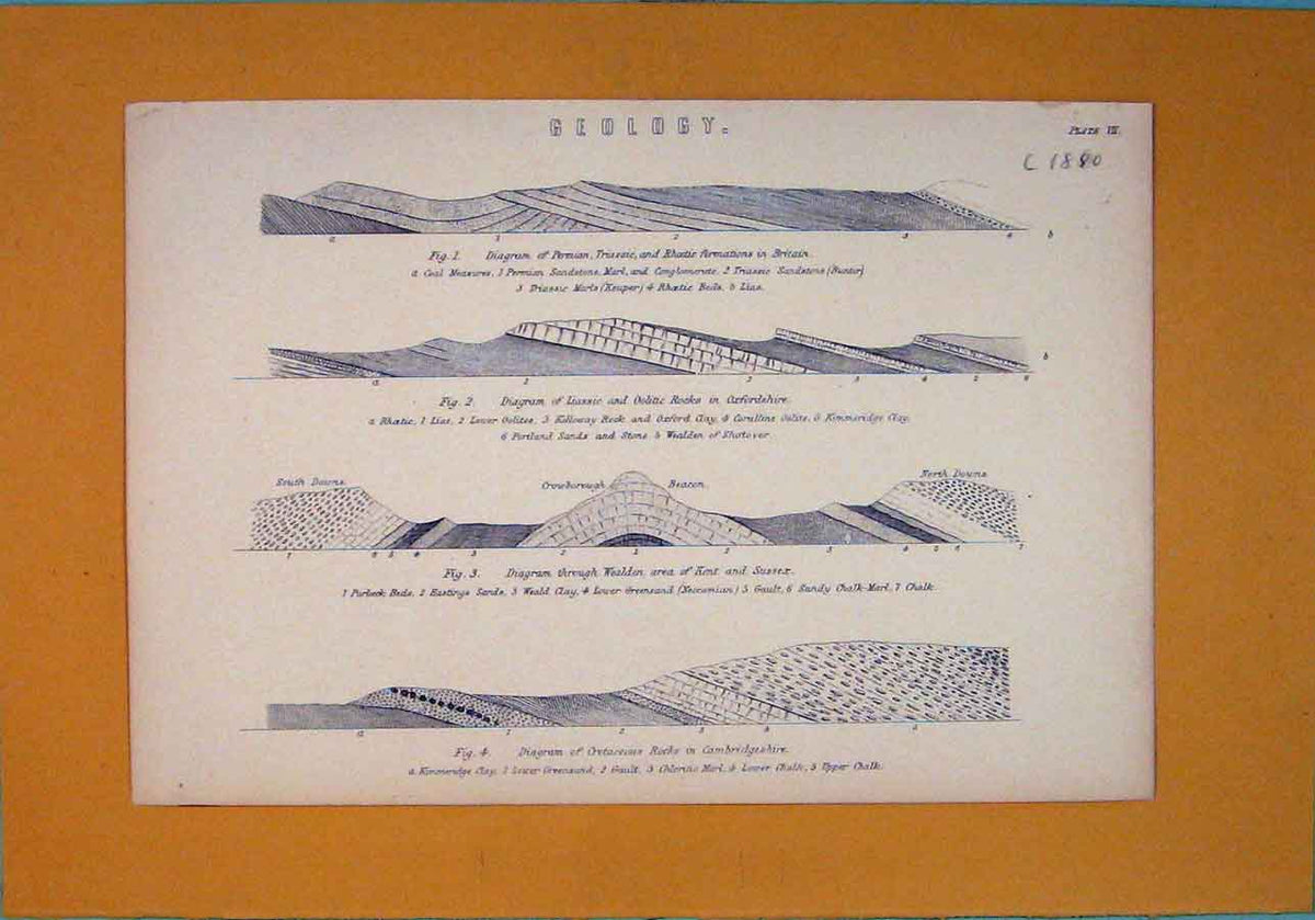 Original Old Antique Print Geology Permian Oolitic Rocks England Type Formation
