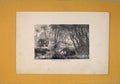 Original Old Antique Print Landscape Miocene Period C1870 Art 19th