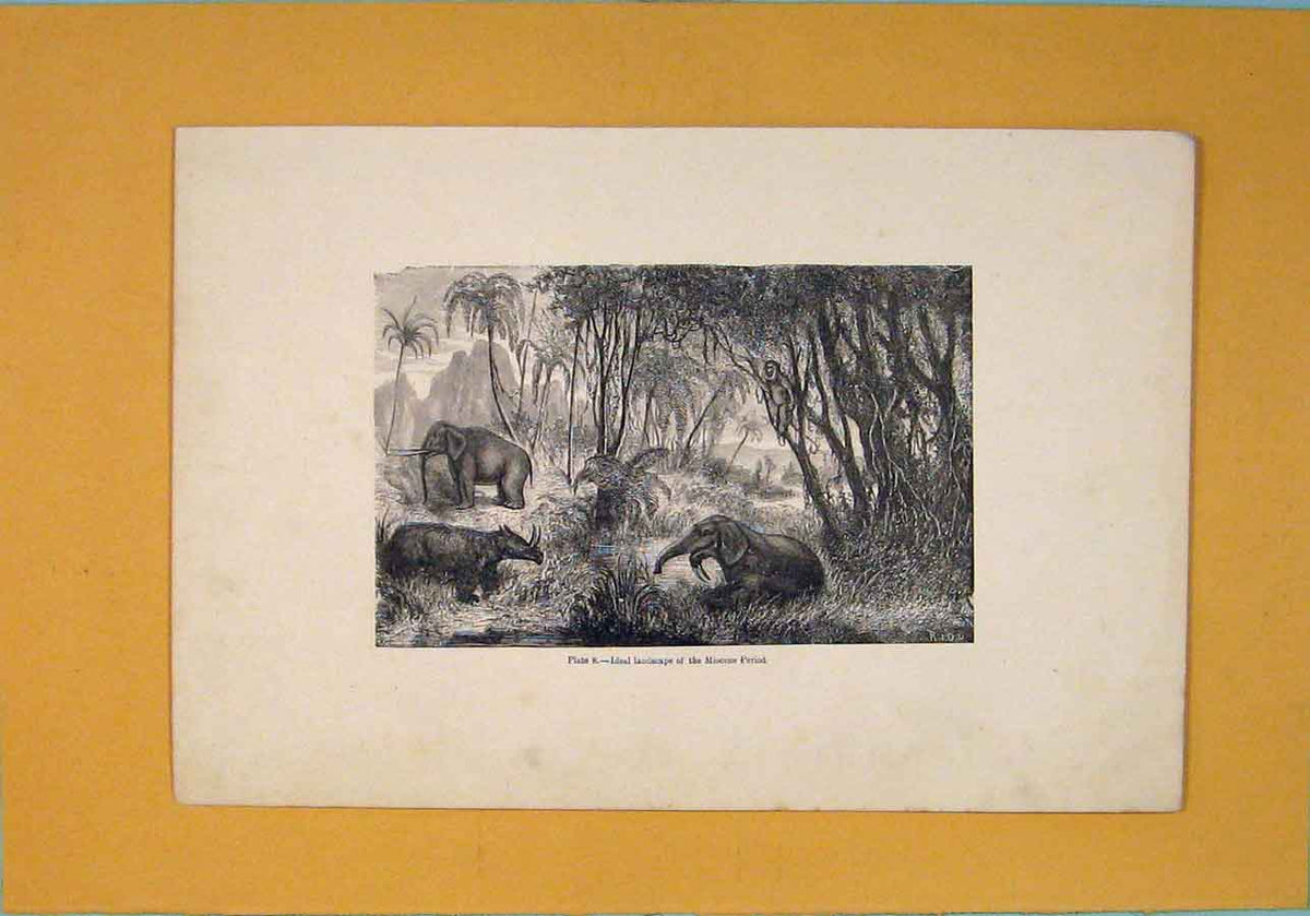 Original Old Antique Print Landscape Miocene Period C1870 Art 19th