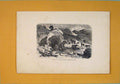 Original Old Antique Print European Landscape Quaterary Epoch C1870 Victorian