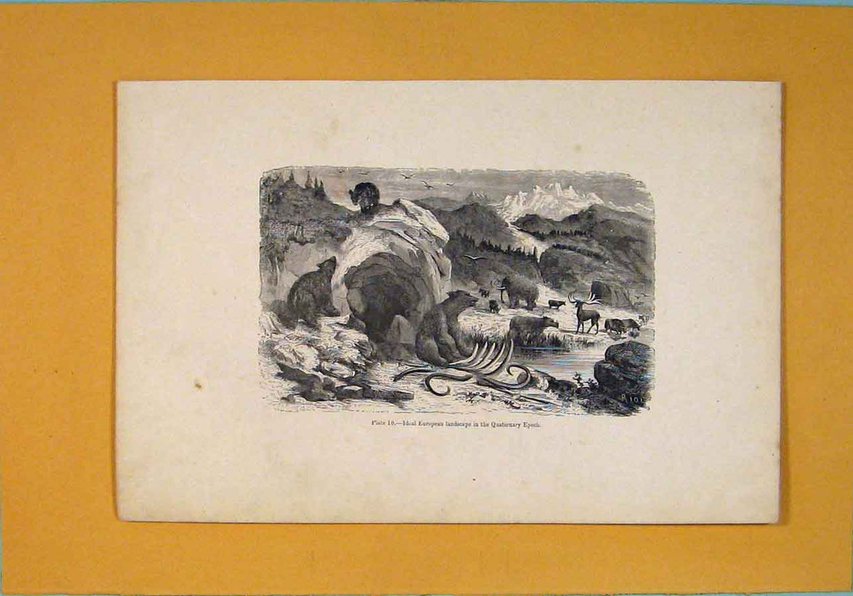 Original Old Antique Print European Landscape Quaterary Epoch C1870 Victorian