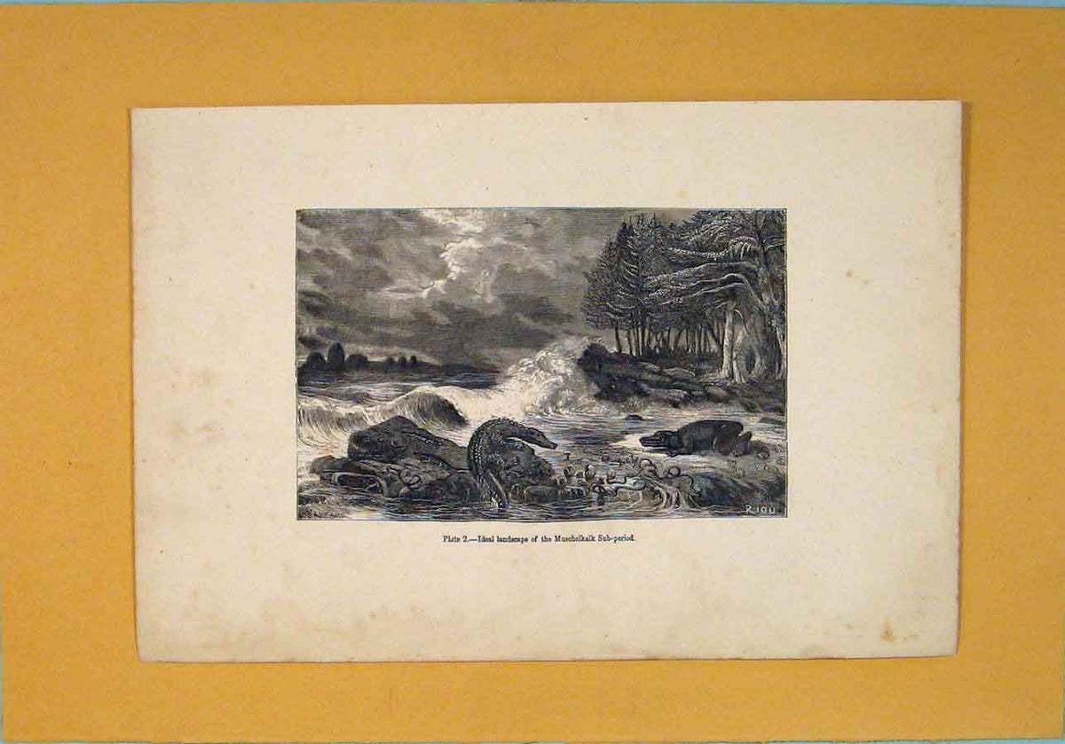Original Old Antique Print Landscape Muscelkalk Sub Period C1870 19th
