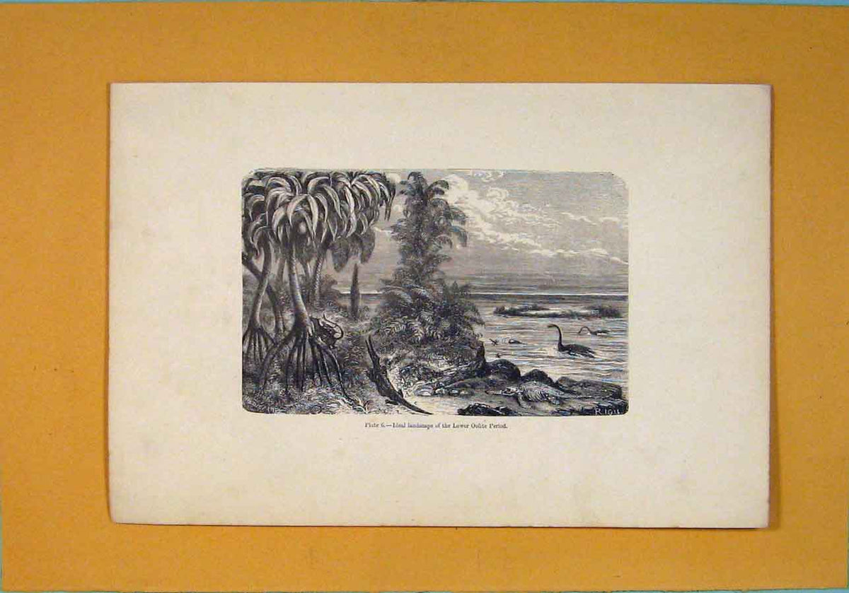 Original Old Antique Print C1870 Ideal Landscape Lover Oolite Period Victorian