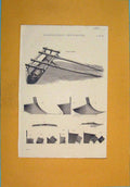 Original Old Antique Print Agricultural Implements Farming Designs