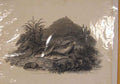 Original Old Antique Print 1840Daniels Lavelseer Plate Fish River Bank C1840