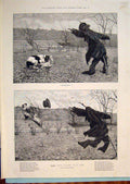 Original Old Antique Print Berkeley Scarecrow Field Dog Duck Goose Fine Art