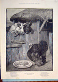 Original Old Antique Print Turkey Pigs Farm Food Weekes Christmas Fine Art