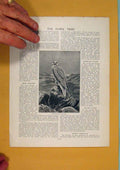 Original Old Antique Print Hawk Tribe Greenland Falcon Fine Art