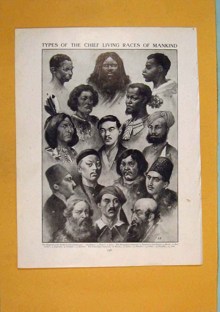Original Old Antique Print Types Chief Living Races Mankind Black White