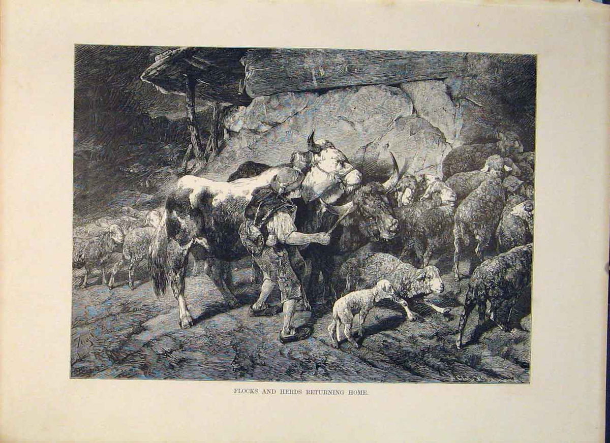 Original Old Antique Print Flocks Herds Home Fine Swiss Art Switzerland