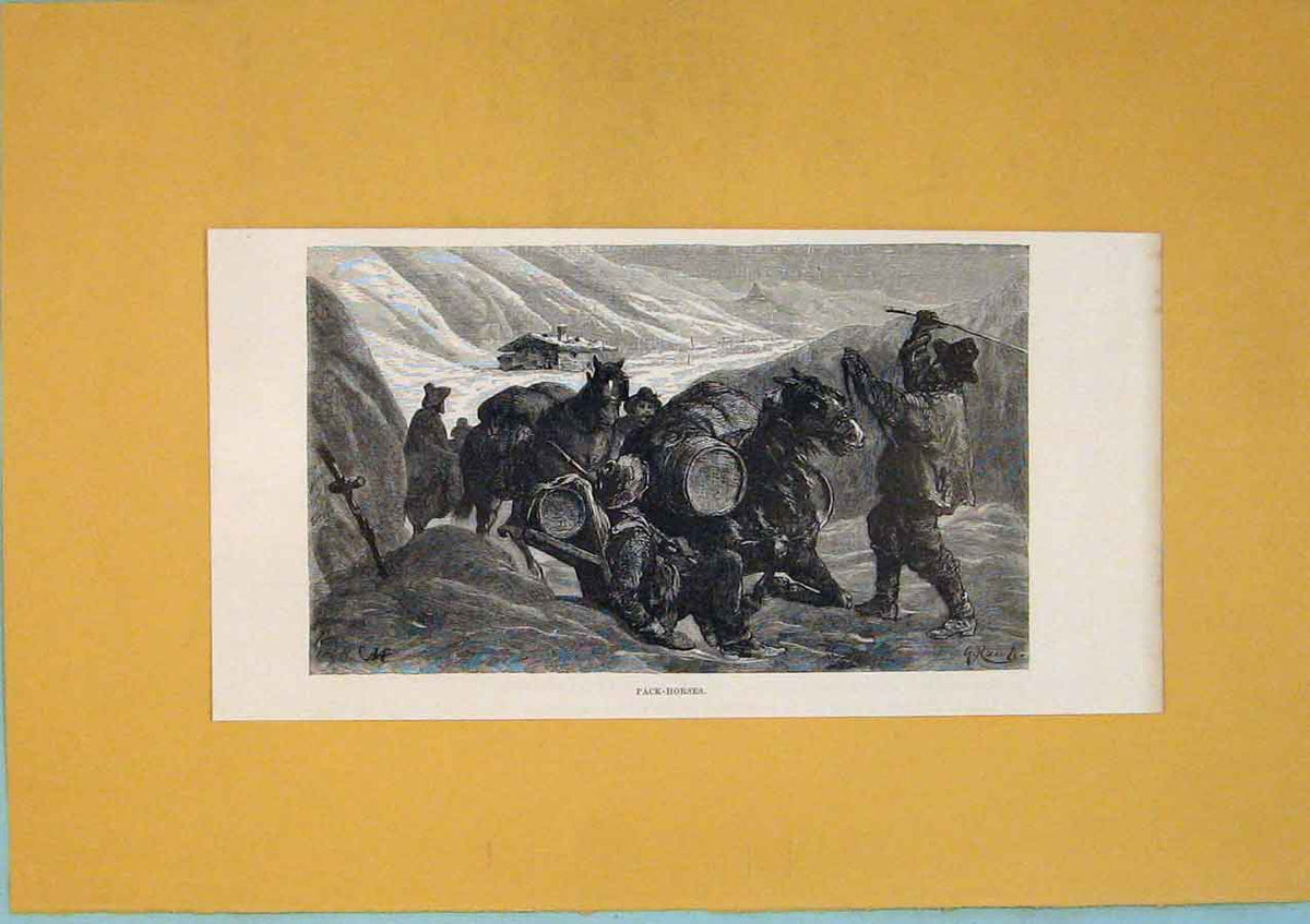 Original Old Antique Print Pack Horses Mountain Snow Switzerland