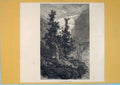 Original Old Antique Print Group Siberian Pines Tree Mountain Switzerland