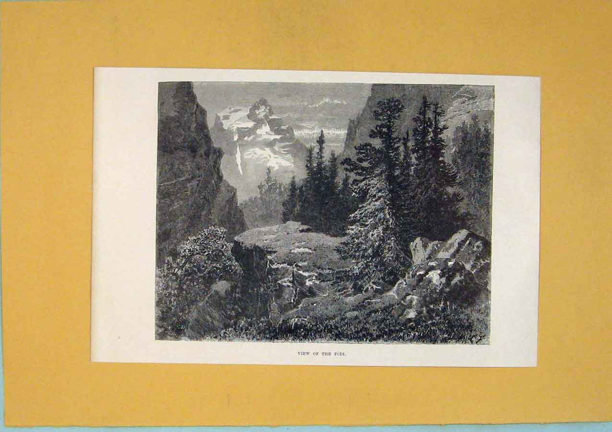Original Old Antique Print Tudi Mountain View Switzerland Fine Art