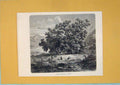Original Old Antique Print Spanish Chestnuts Gersau Switzerland 1878 Victorian