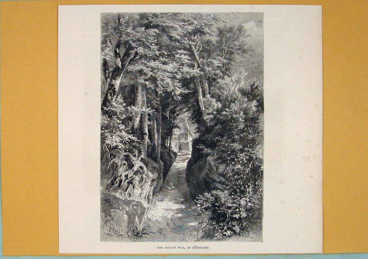 Original Old Antique Print Hollow Way Kussnach Mountain Tree Walkway Switzerland