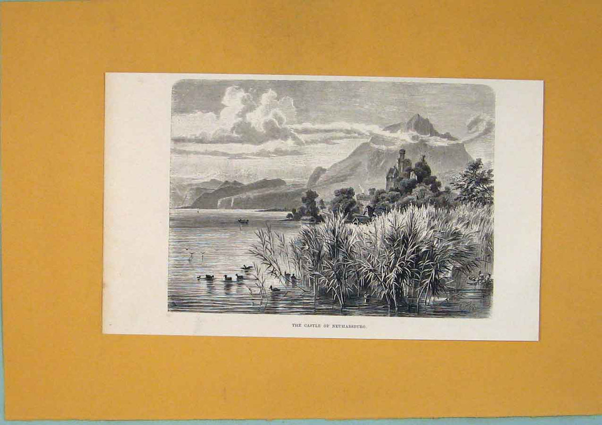 Original Old Antique Print Castle Neuhabsburg Switzerland C1878 Swiss Victorian