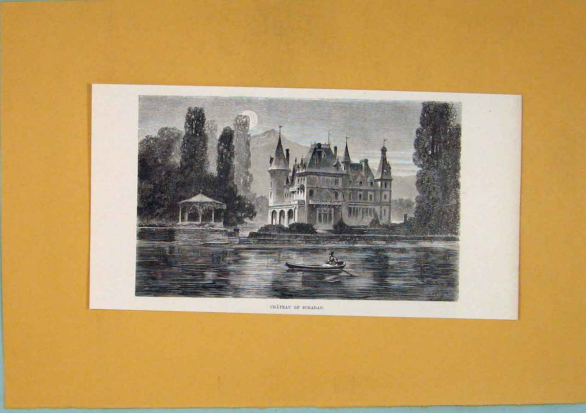 Original Old Antique Print Swiss Chateau Schadau Lake Switzerland C1878 19th