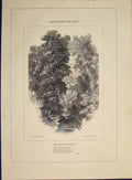 Original Old Antique Print Milton Poet Poetry Balcony Village Castle Garden