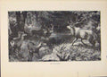 Original Old Antique Print Buck Challenge Bucks Forrest Fine Art