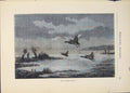 Original Old Antique Print Wild Fowl Bird Fowls Shooting Hunting Hunt Birds