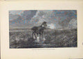 Original Old Antique Print Wild Fowl Horse Fowls Bird Birds Hunt Hunting