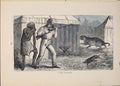 Original Old Antique Print Marauder Tiger Tigers Cat Cats Hunt Hunter