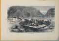 Original Old Antique Print Moat Tiger Tigers Hunt Hunting Hunter Hunted