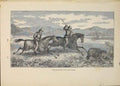 Original Old Antique Print Bear Hunt Hunting Bears Horse Horses Art
