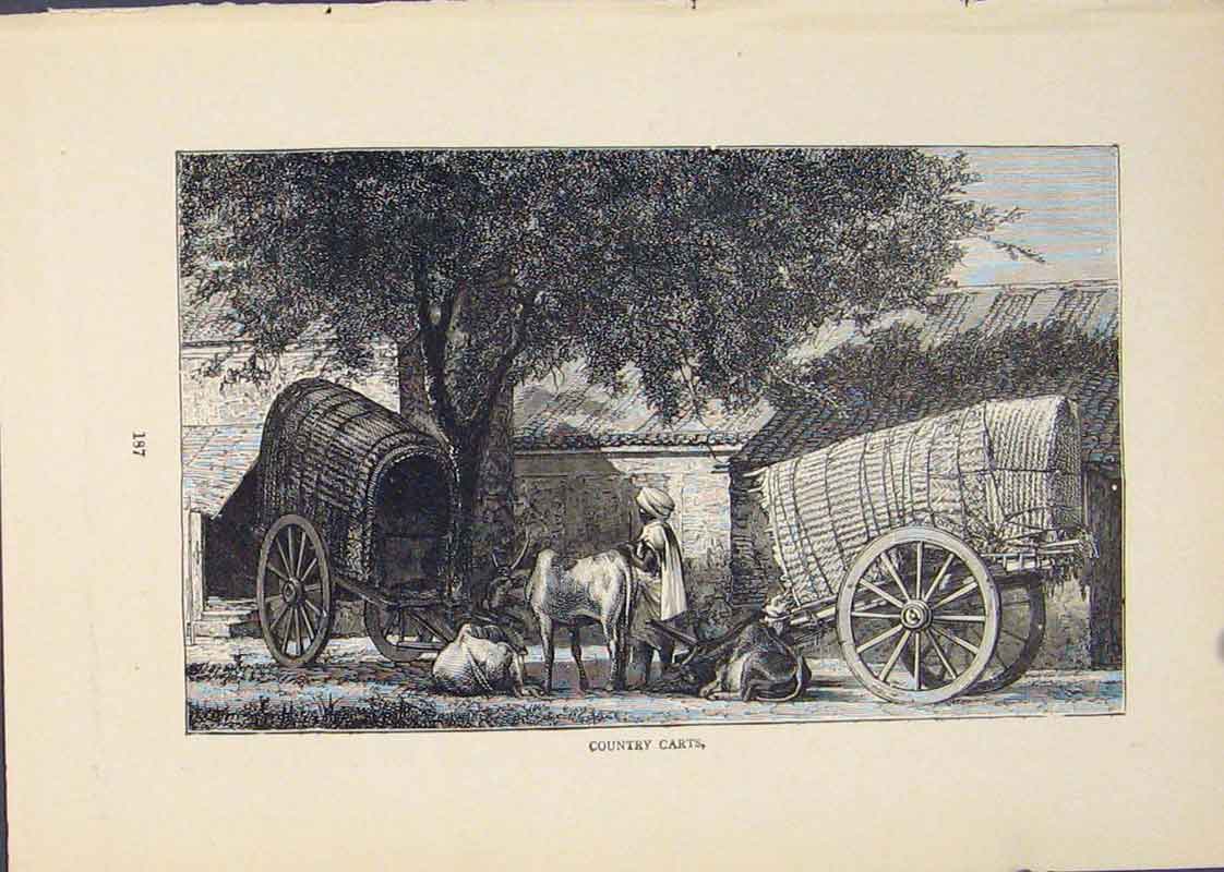 Original Old Antique Print Cart Carts Rural Country Horse Cow Art