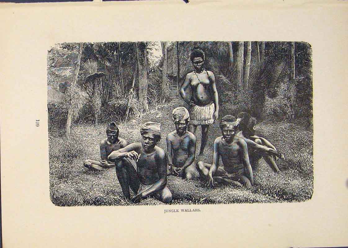Original Old Antique Print Wallahs Bushmen Bush Men Woman Man Art