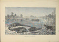 Original Old Antique Print Alligators Bhowani Alligator River