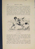 Original Old Antique Print British Dog Dogs Backing Hunting Art