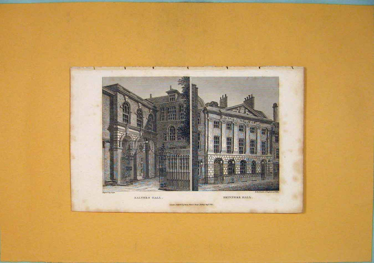 Original Old Antique Print Salters Hall Skinners Fine Art