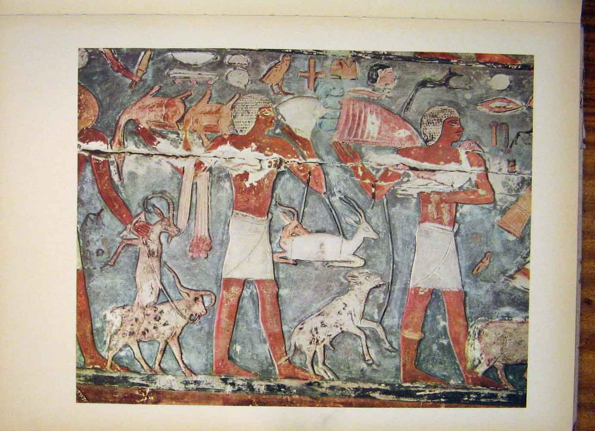 Original Old Antique Print Necropolis Memphis Saqqarah Bearers Offerings Unesco