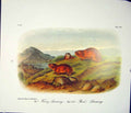 Original Old Antique Print Lemming Lemmings Quadruped Audubon Color