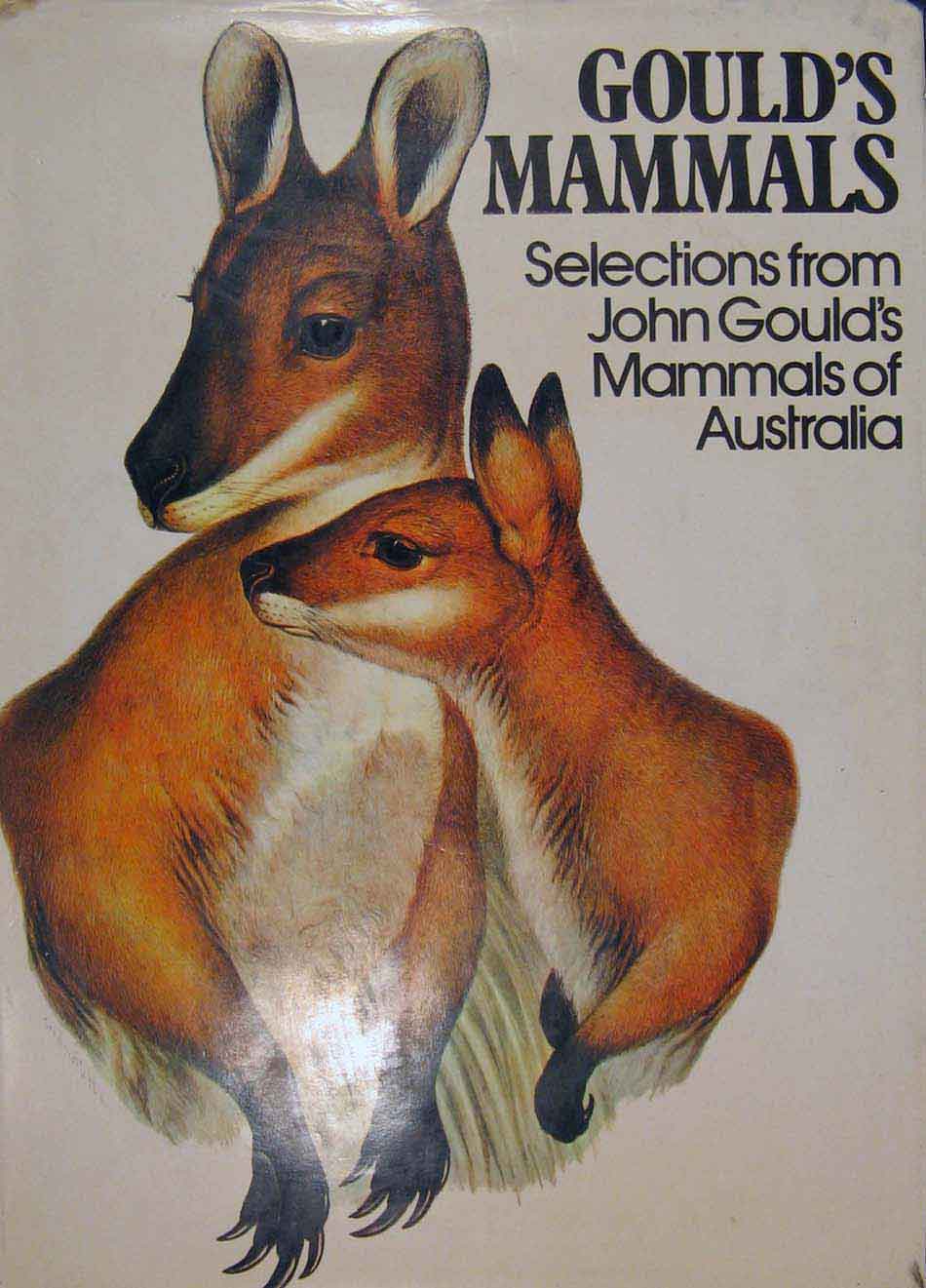 Original Old Antique Print Gould Mammals Australia 1863 1977 Cover Page Kangaroo