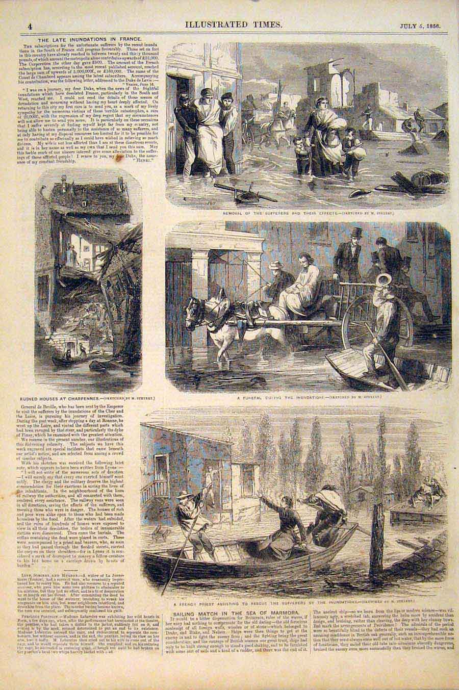 Original Old Antique Print Chelmsford Agricultural Show Bull Heifer Cattle Cow