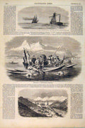 Old Antique Print Napoleon Expedition Reine Hortense Seal Greenland 1856 19th