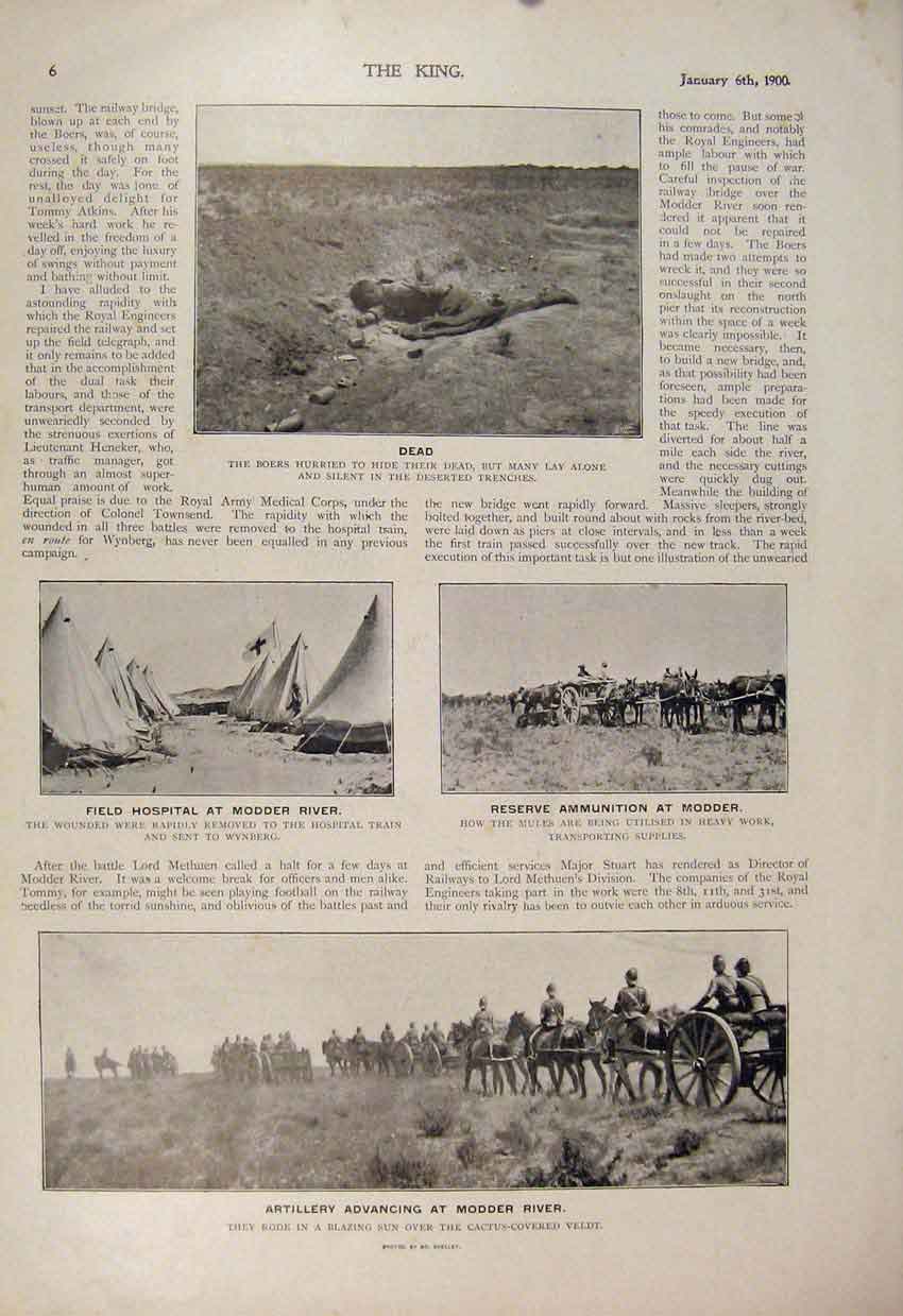 Old Antique Print Boer War Africa 1900 Modder River Mules Field Hospital 20th