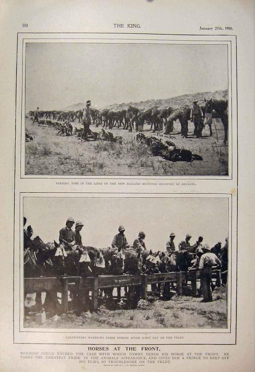 Old Antique Print Boer War Africa 1900 Horses Infantry Arundel Carabineer 20th