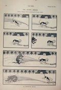 Original Old Antique Print Jester Abroad Sketch Sketches Douche Dog Dogs 1900