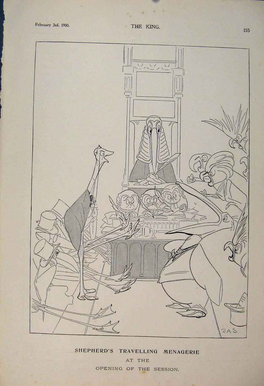 Original Old Antique Print Shpherd'S Travelling Menagerie Shepherd 1900 20th
