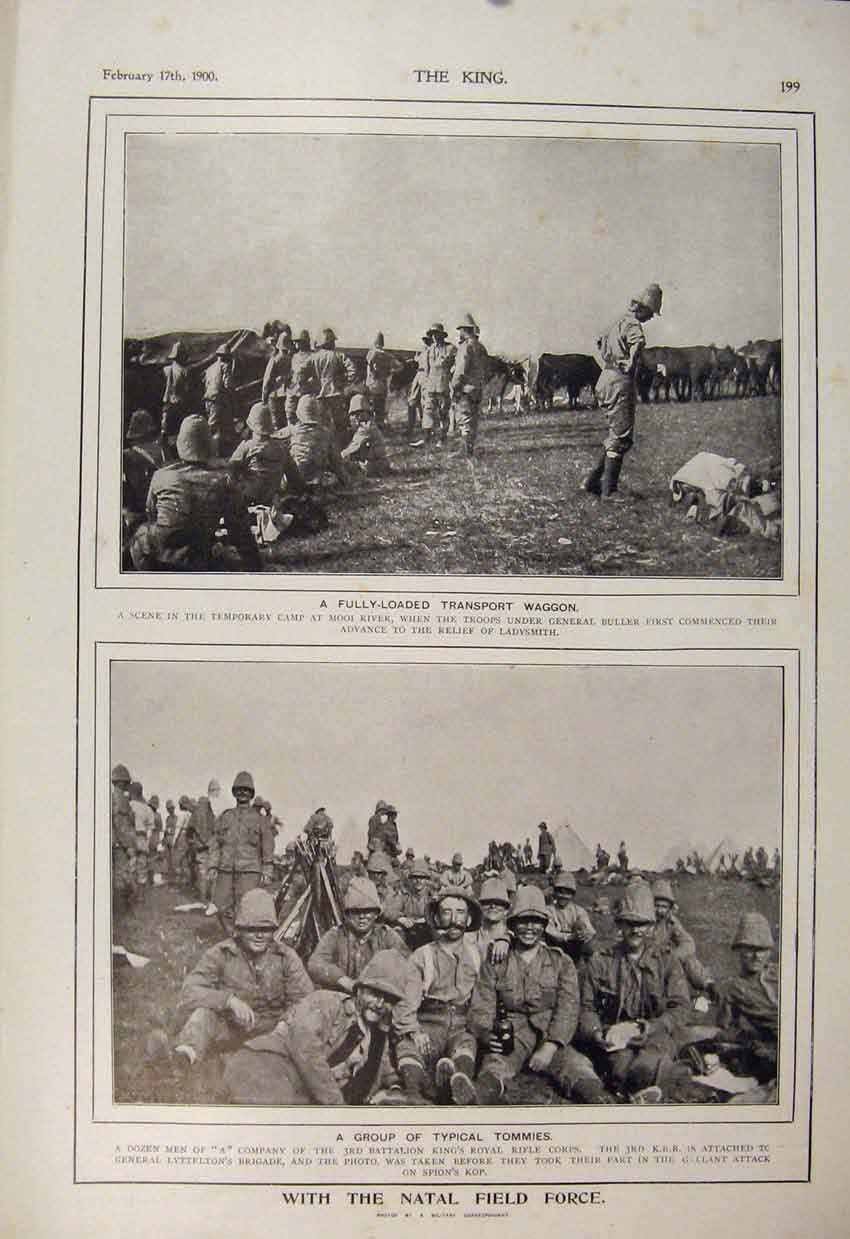 Original Old Antique Print Boer War Africa 1900 Natal Field Force Lyttelton 20th