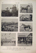 Original Old Antique Print Royal Agricultural Show York Parade Livestock 1900