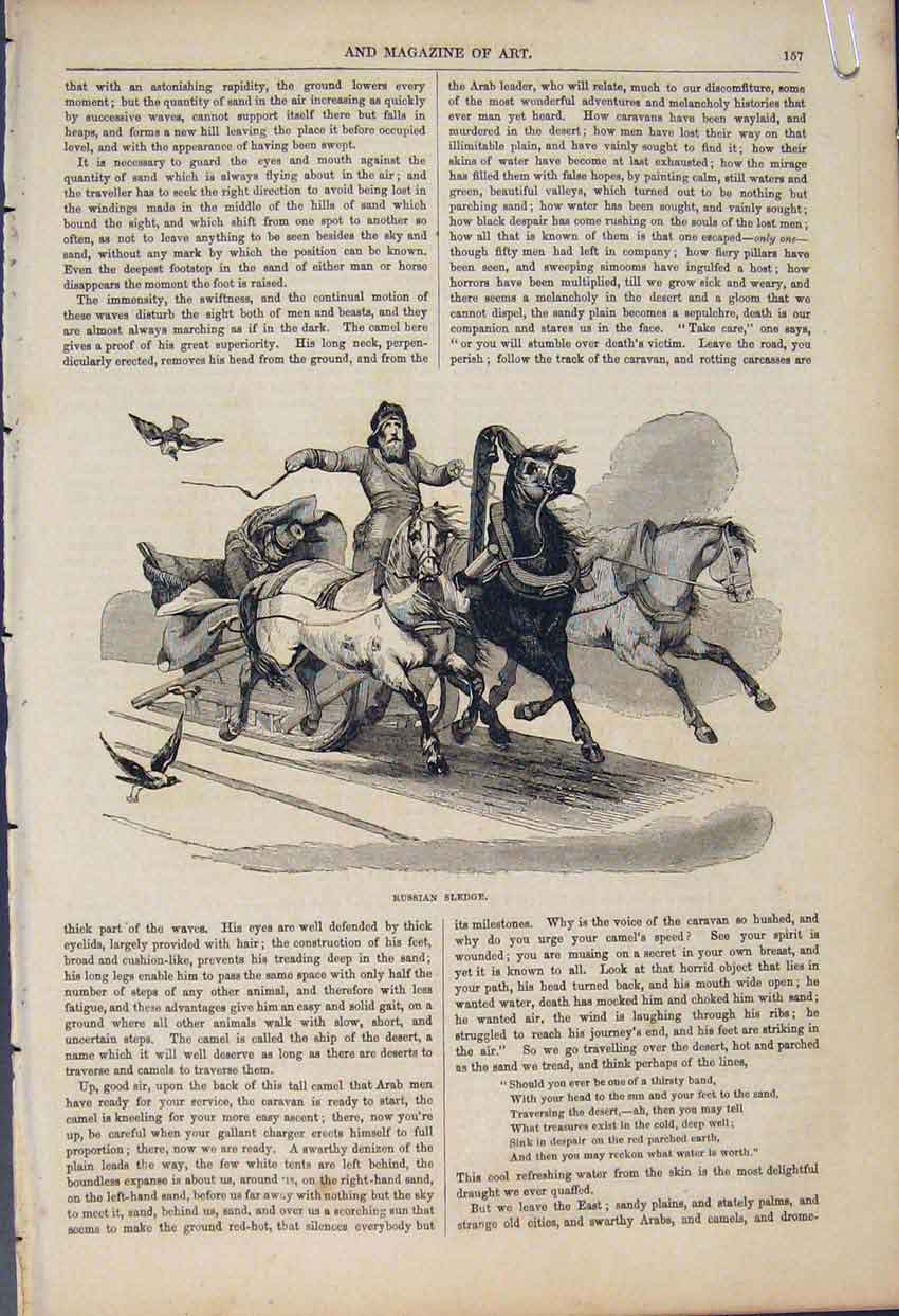 Original Old Antique Print Arabia Russi Camels Desert Sledge C1855 Victorian
