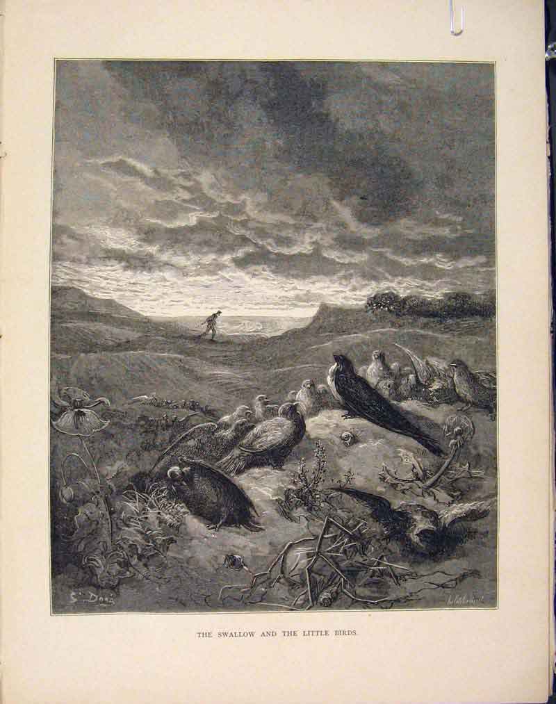 Original Old Antique Print Swallow Little Birds Aesop Fable Viii Image