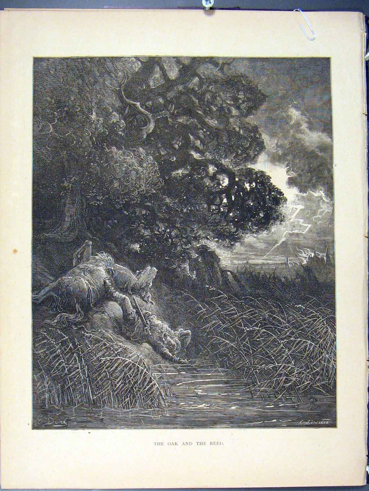 Original Old Antique Print Oak Reed Aesop Fable Xxi C1868 Story Art Victorian