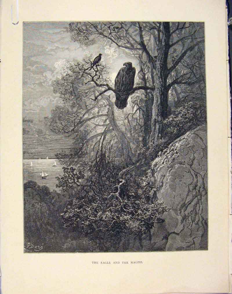 Original Old Antique Print Aesop Fable Ccxxi Eagle Magpi 1868 Story Art 19th